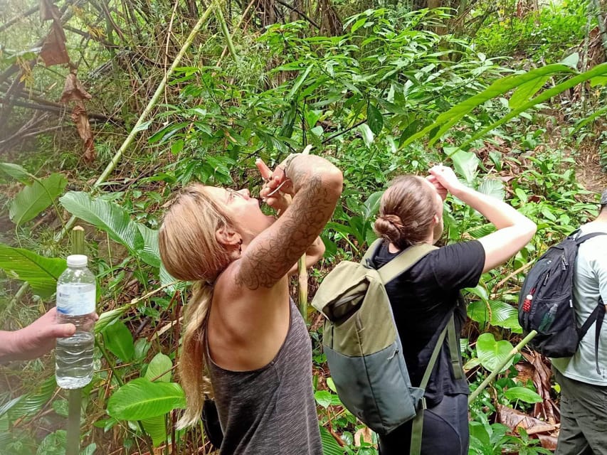 1 Day trekking : Chiang Rai popular activity,Fun in Nature. - Swimming at Huay Kaew waterfall