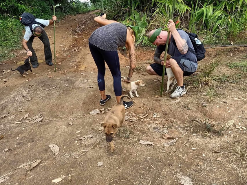 1 Day trekking : Chiang Rai popular activity,Fun in Nature. - Ending with a hot spring bath