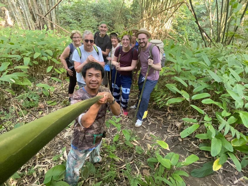 1 Day trekking : Chiang Rai popular activity,Fun in Nature. - Cooking lunch in a Lisu bamboo hut