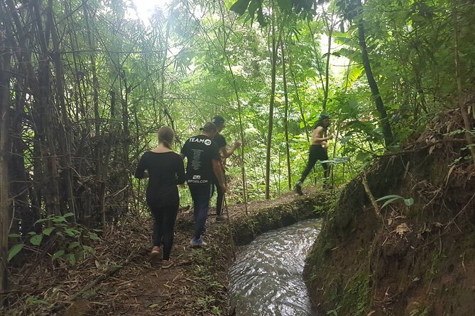 1 Day Trekking in Chiang Mai - Trekking away from the busy routes