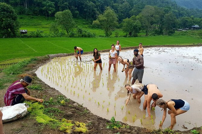 1 Day Trekking in Chiang Mai - Inside the cave, then out to the waterfall