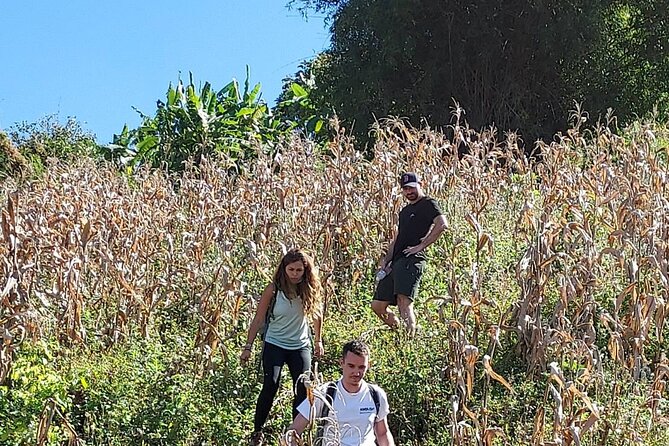 1 Day Trekking in Chiang Mai - Meeting a hilltribe community