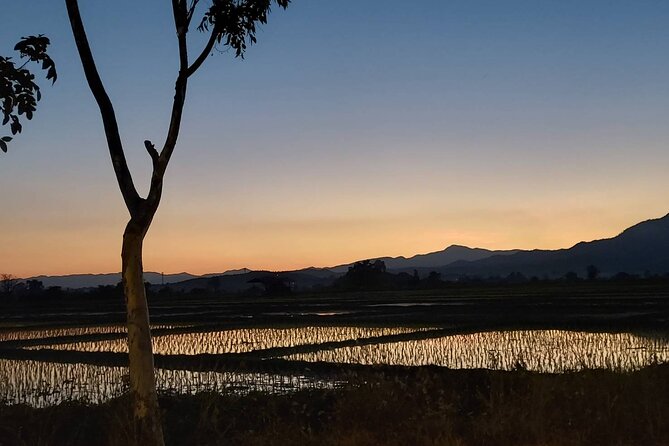 1 Day Trekking in Chiang Mai - Who should book this Chiang Mai trek