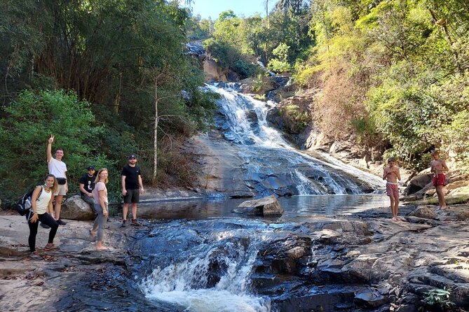 1 Day Trekking in Chiang Mai - Learning about plants, farming, and herbal medicine