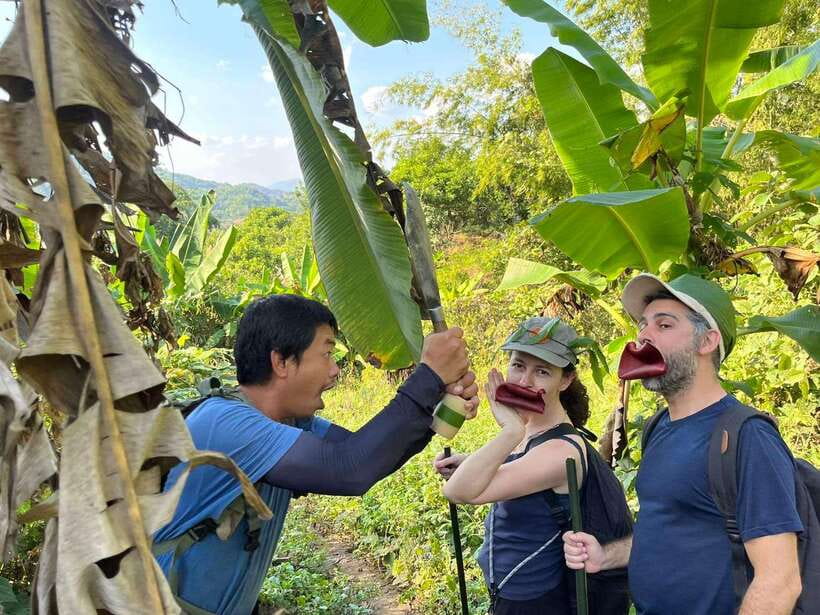 1 Day Trekking in Chiang Rai forest (walk only) - What this Chiang Rai forest day really offers