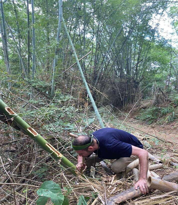 1 Day Trekking in Chiang Rai forest (walk only) - Meeting Lahu and Akha communities