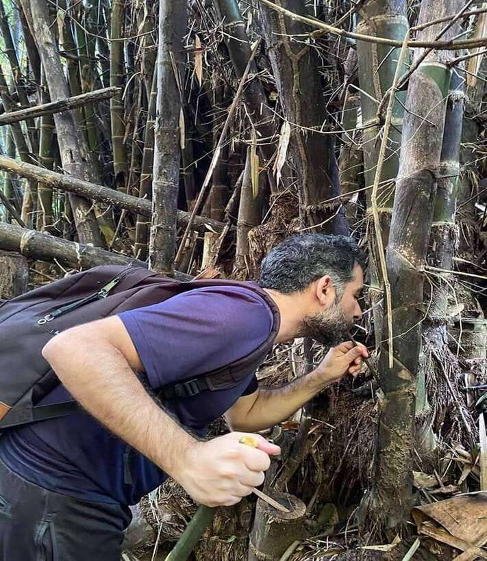 1 Day Trekking in Chiang Rai forest (walk only) - Huai Kaew Waterfall and time in the water