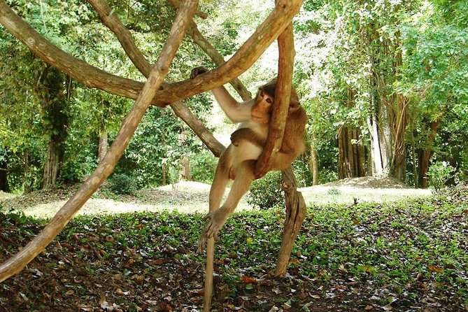 2-Day Angkor Wat Tour from Bangkok - Bayon and Angkor Thom
