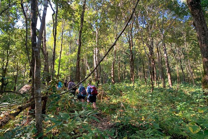 3-Day Chiang Dao Mountain Trek - What the homestays are really like