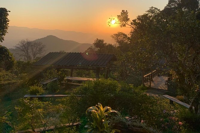 3-Day Chiang Dao Mountain Trek - Food, drinks, and the guide’s role