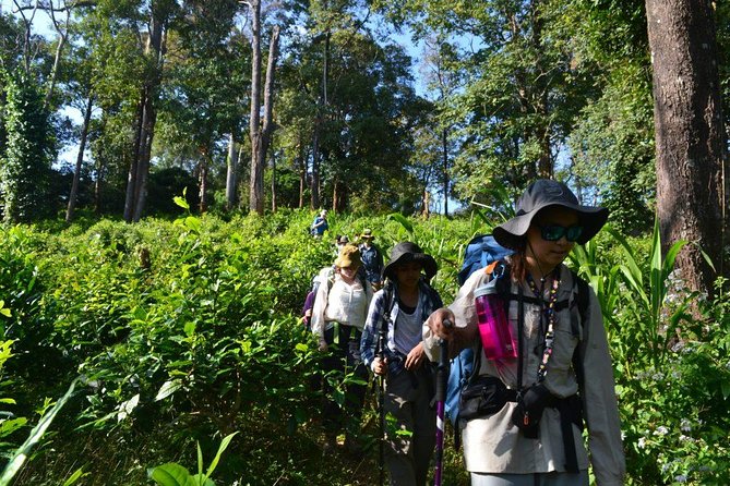 3-Day Chiang Dao Mountain Trek - Who should book this trek