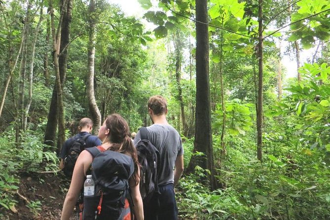 3-Day Chiang Dao Mountain Trek - Day 1: From Chiang Mai to the first homestay