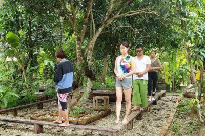3 day Yoga and Meditation Retreat in Chiang Mai