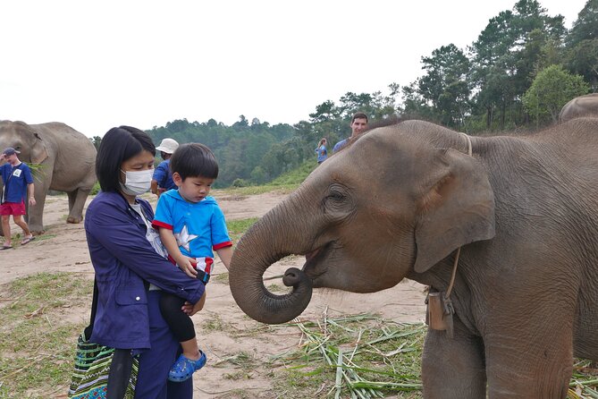 3-in-1: Doi Inthanon Tour, Elephant Sanctuary, and Trekking Trail - Lunch with Thai flavors
