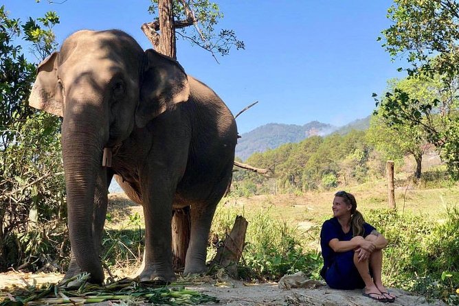 3-in-1: Doi Inthanon Tour, Elephant Sanctuary, and Trekking Trail - Walking the Pha Dok Siew trail