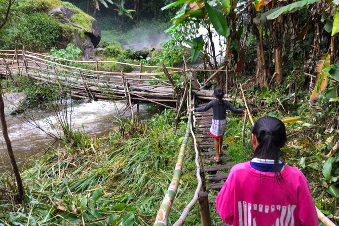 3-in-1: Doi Inthanon Tour, Elephant Sanctuary, and Trekking Trail - Ban Mae Klang Luang and locally grown coffee