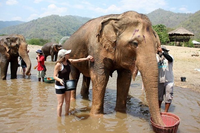 3D2NTrek Adventure at Chiang Mai Mea Wang Including Overnight at Karen Hilltribe - What the $162.76 price covers