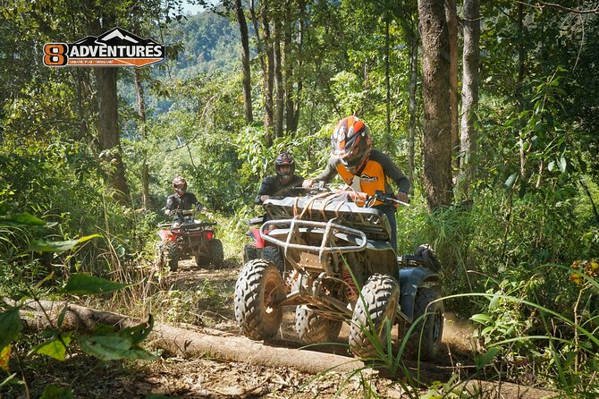 3hr ATV/ Quad biking adventure in Chiang Mai - The elephant encounters are memorable, but keep perspective