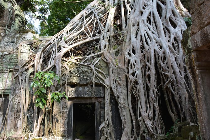 4 Days Expedition From Bangkok to Angkor Wat - Who should book this four-day trip?