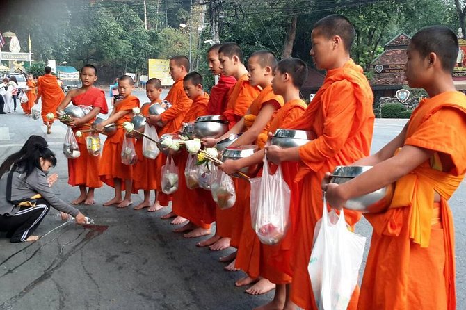 4 highlights: Sticky Waterfall/Elephants/local market /Wat Banden - Lunch at a local area
