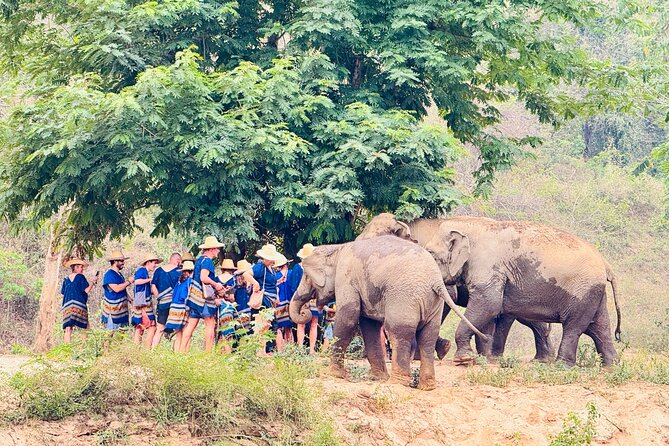 4 in 1 Elephants Long Neck Rafting and Sticky Waterfall Tour - How the $88.01 price holds up