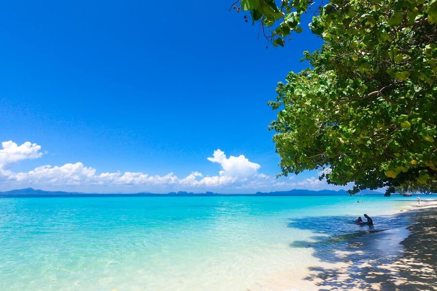4-Island Tour from Koh Lanta to Koh Kradan with Beach Lunch - Returning to Koh Lanta by 5:00 PM