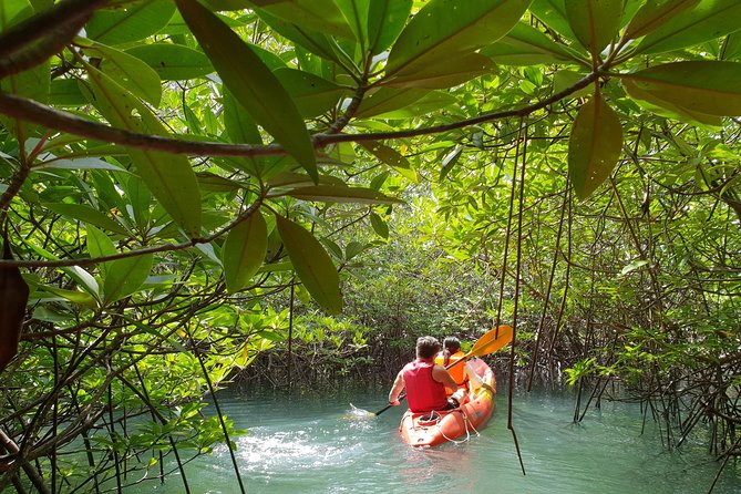 4-Waters Eco-Adventure Trip from Phuket Including Lunch - Hot pools, whirlpool, and an ice-cold finish