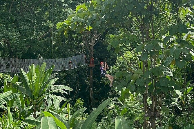 7 Hour Sticky Waterfall and Zipline Adventure - Why the waterfall is the real draw