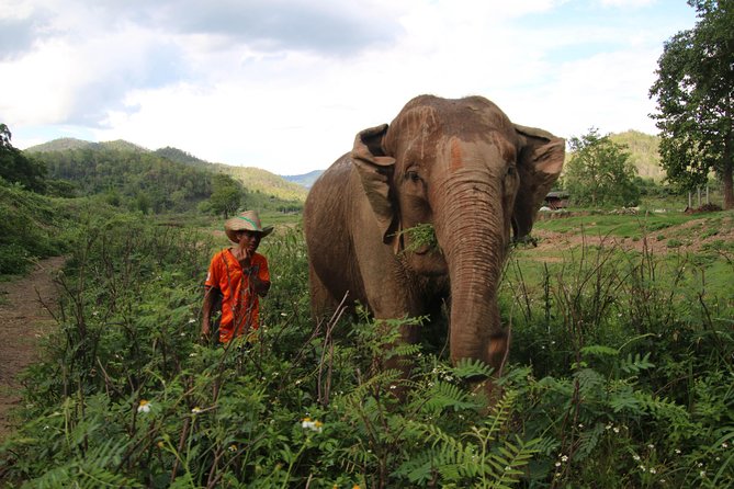A stunning 11 Day Tuk Tuk Adventure in Northern Thailand - with driver - Why three wheels work so well in Northern Thailand