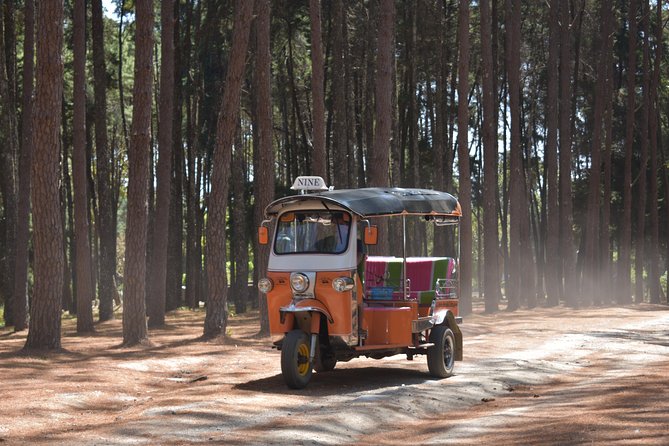 A stunning 11 Day Tuk Tuk Adventure in Northern Thailand - with driver - Day 8: Lod Cave and the road into Pai