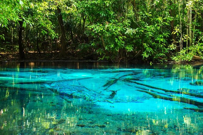 All day Krabi Jungle Tour (Hot Spring Water, Emerald Pool, Tiger Cave Temple) - Three inland sights in one long Krabi day