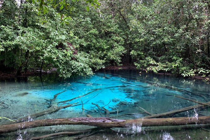 All day Krabi Jungle Tour (Hot Spring Water, Emerald Pool, Tiger Cave Temple) - Guides, group size, and the rhythm of the day