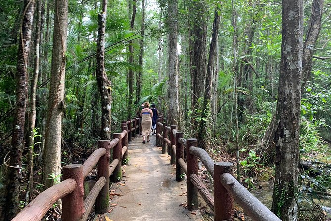 All day Krabi Jungle Tour (Hot Spring Water, Emerald Pool, Tiger Cave Temple) - Namtok Ron Hot Spring Waterfall: the gentlest first stop
