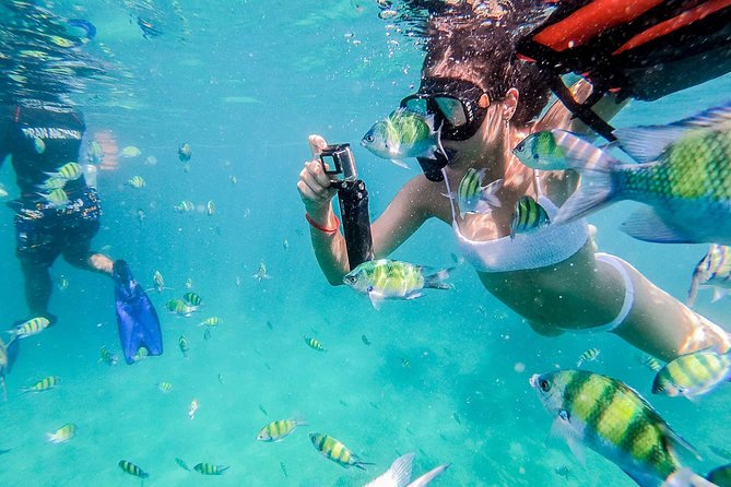 All-in Phi Phi, Maiton, MayaBay, Khai, Bamboo islands Tour - A big Phuket day on a small schedule