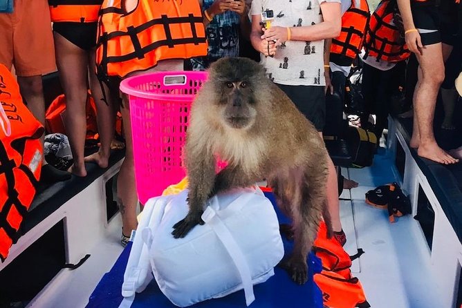 All-in Phi Phi, Maiton, MayaBay, Khai, Bamboo islands Tour - From Phuket pier to Monkey Beach