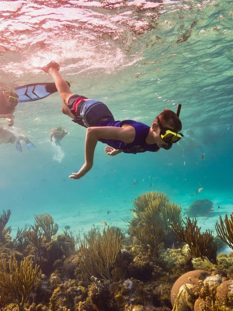 Ao Nang: 4 Islands Day Tour by Speedboat or Longtail Boat - Pickup, comfort, and the parts that require patience