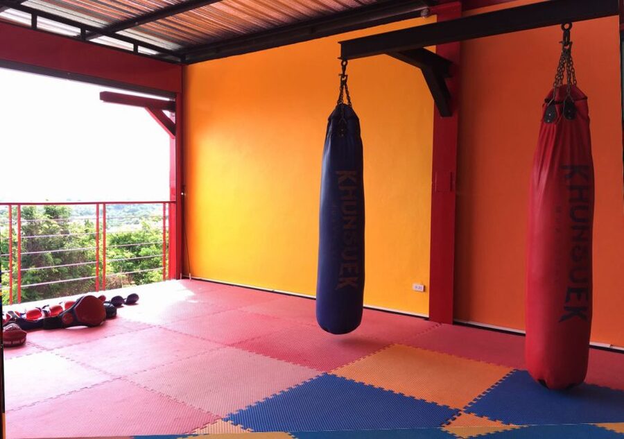 Ao Nang, Krabi: 90-Minute Muay Thai Lesson - Is $52 good value for this workout?
