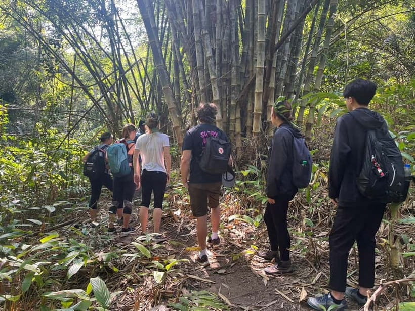 Authentic trek only walk in Chiang Rai jungle - A 9:00 am Start From Chiang Rai
