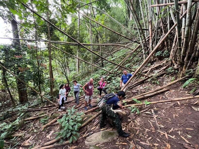 Authentic trek only walk in Chiang Rai jungle - Akkha and Lahu Communities on the Return Route