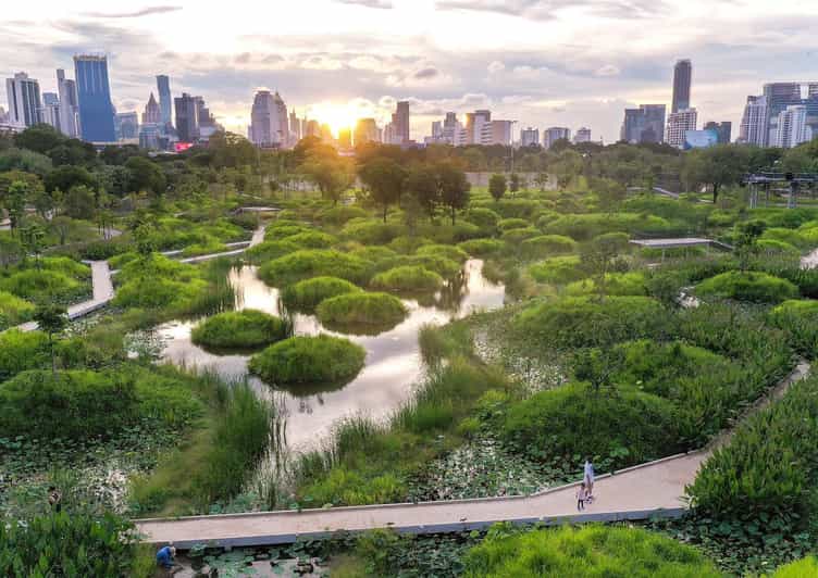 Bangkok Bicycle rental Benjakitti Park - Price and practical value at $11