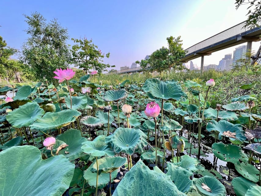 Bangkok Bicycle rental Benjakitti Park - Starting at Sethiwan Palace