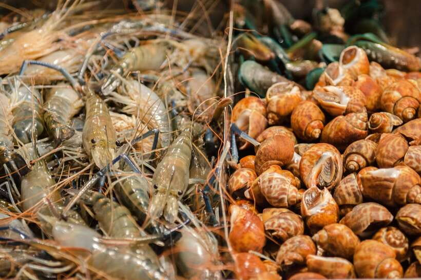 Bangkok: Chinatown Night Food Tour - The food is only half the evening