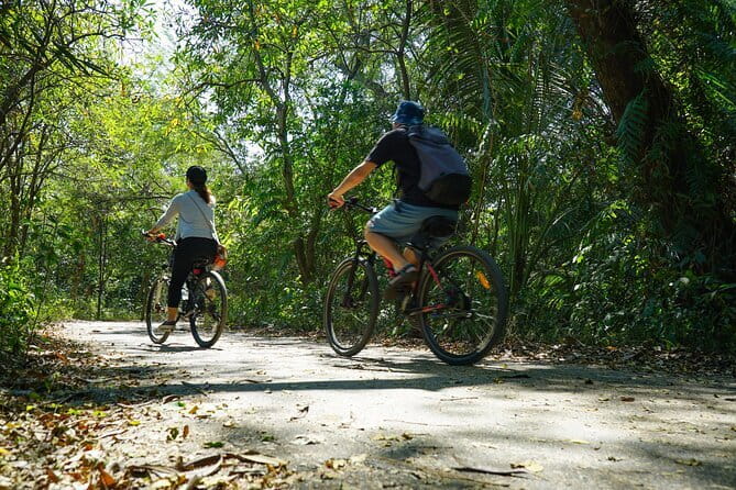 Bangkok Green Oasis Nature Bike Tour - Why Bang Krachao makes such a good Bangkok escape