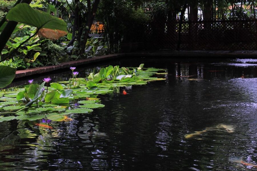 Bangkok: Jim Thompson House and Baan Krua Community Tour - FAQ