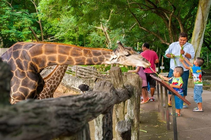 Bangkok/Pattaya: Khao Kheow Zoo Private Tour with Pickup - Entering Khao Kheow Open Zoo