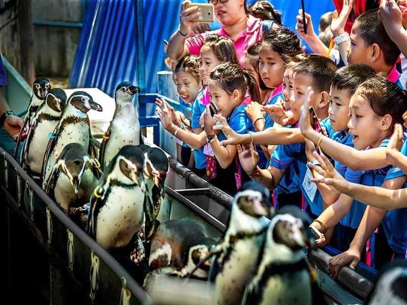 Bangkok/Pattaya: Khao Kheow Zoo Private Tour with Pickup - The Pink Zone by private car