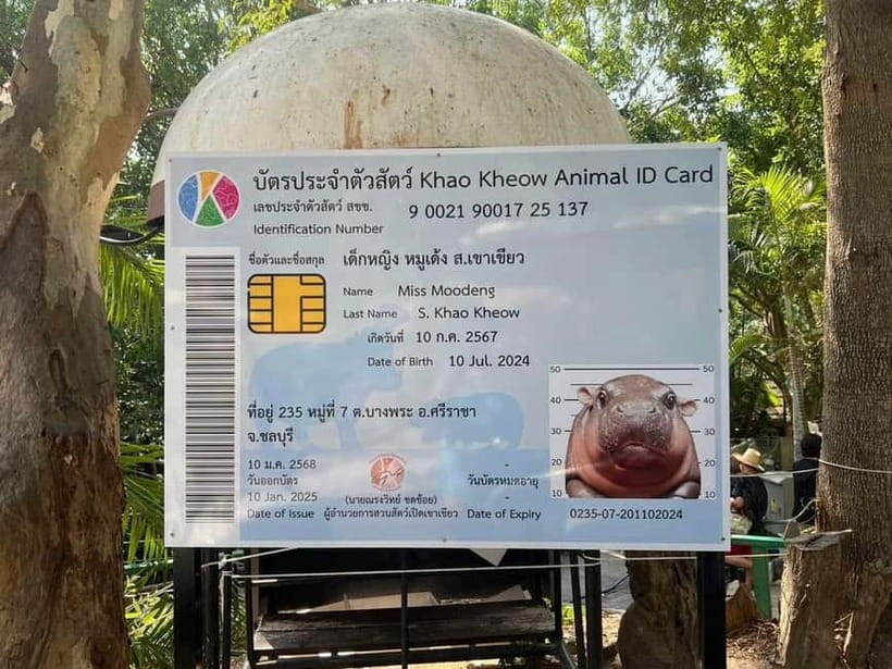 Bangkok/Pattaya: Khao Kheow Zoo Private Tour with Pickup - The Green Zone on foot or by golf cart