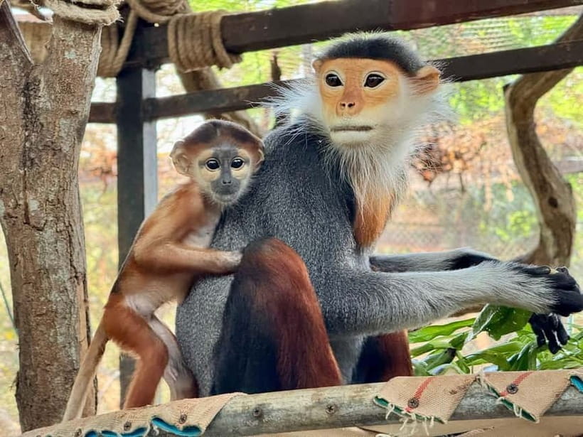 Bangkok/Pattaya: Khao Kheow Zoo Private Tour with Pickup - Is $64 per person good value?