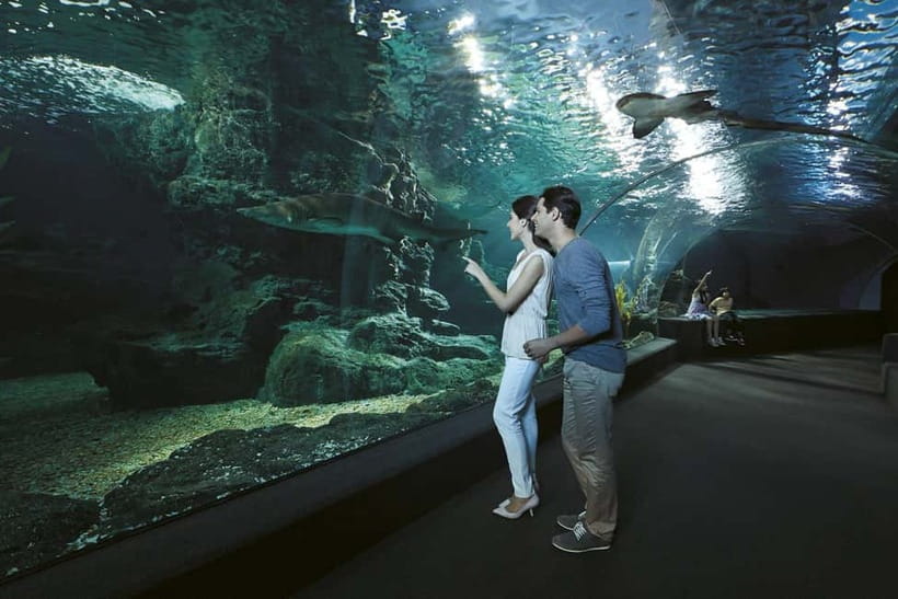 Bangkok: SEA LIFE Bangkok & Madame Tussauds Entry Ticket - SEA LIFE Bangkok: start with the aquarium