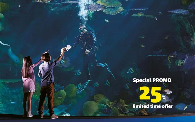 Bangkok: SEA LIFE Bangkok Ocean World Entry Ticket - The aquarium beneath Siam Paragon
